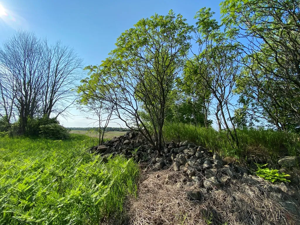 Sturgeon Bay, WI 54235, ,Unimproved Land,For Sale,144192
