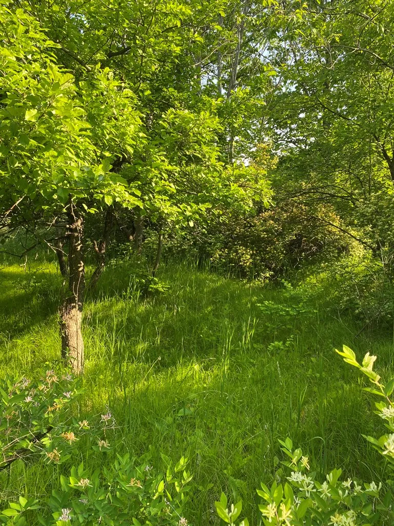 Sturgeon Bay, WI 54235, ,Unimproved Land,For Sale,144192