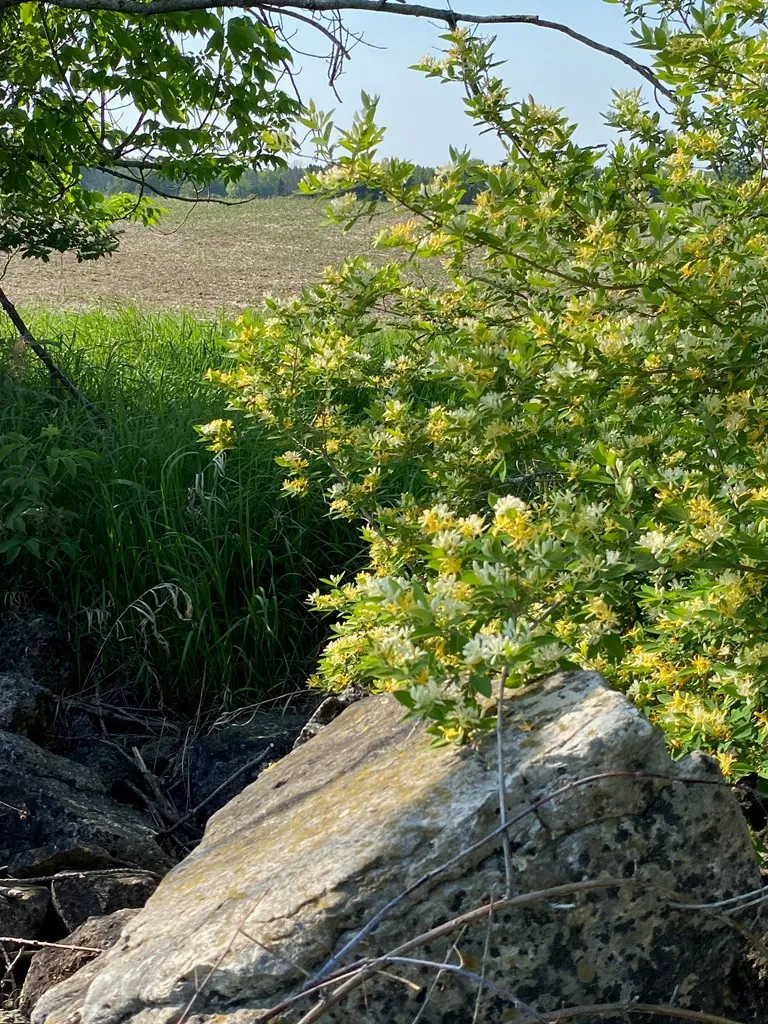 Sturgeon Bay, WI 54235, ,Unimproved Land,For Sale,144192