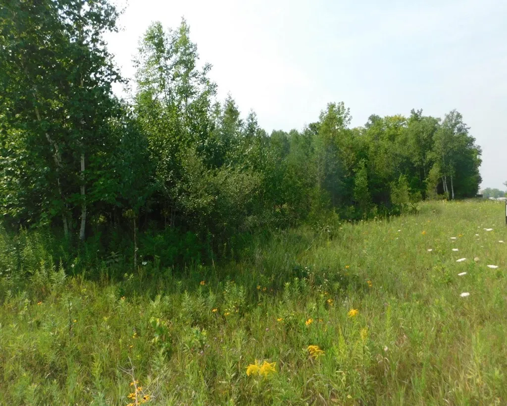 Lot 2 Hwy 42/57, Sturgeon Bay Wi 54235, ,Commercial,For Sale,Hwy 42/57,143227