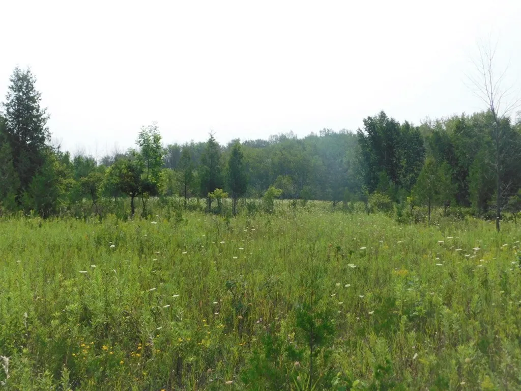 Lot 2 Hwy 42/57, Sturgeon Bay Wi 54235, ,Commercial,For Sale,Hwy 42/57,143227