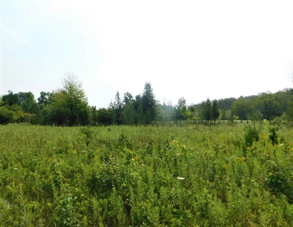 Lot 2 Hwy 42/57, Sturgeon Bay Wi 54235, ,Commercial,For Sale,Hwy 42/57,143227