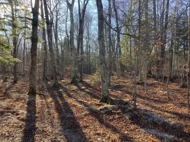Tbd Gunnlaugsson Dr, Washington Island Wi 54246, ,Unimproved Land,For Sale,Gunnlaugsson Dr,143513