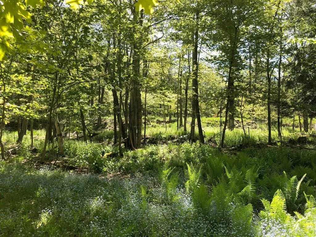 0 Swenson Rd, Washington Island Wi 54246, ,Unimproved Land,For Sale,Swenson Rd,141344
