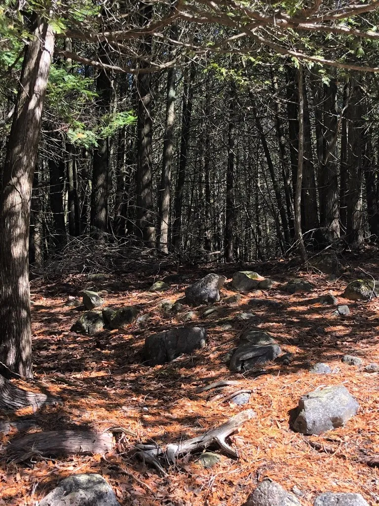 2902 Wilder Rd, Ephraim Wi 54211, ,Unimproved Land,For Sale,Wilder Rd,142952
