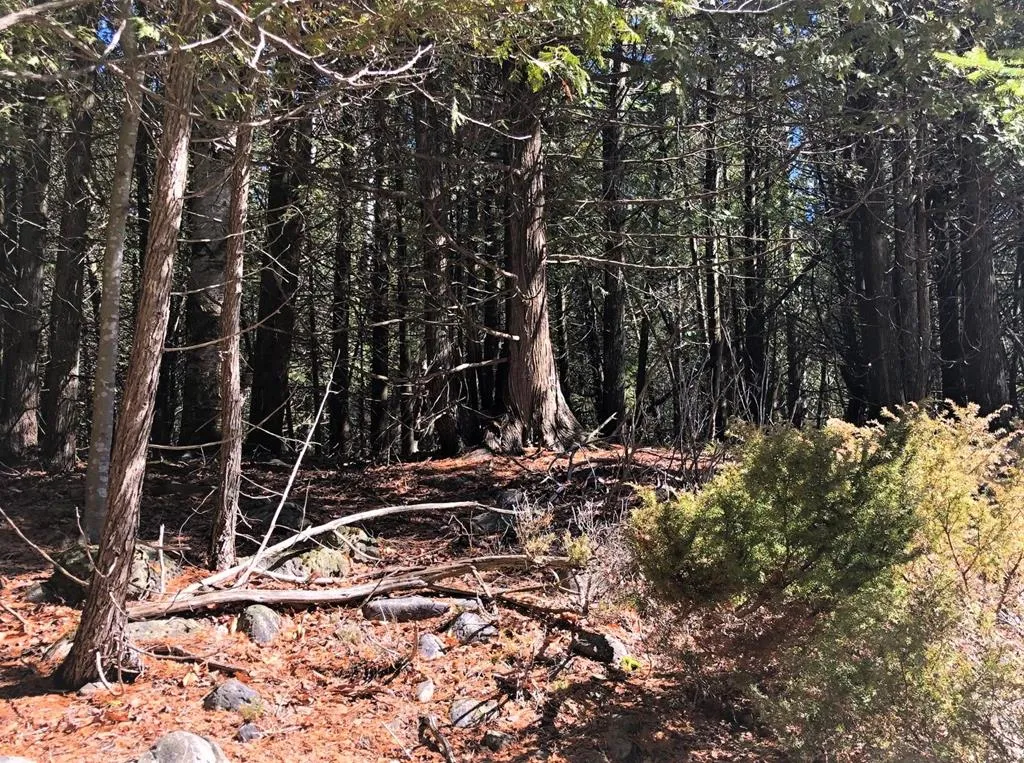 2902 Wilder Rd, Ephraim Wi 54211, ,Unimproved Land,For Sale,Wilder Rd,142952