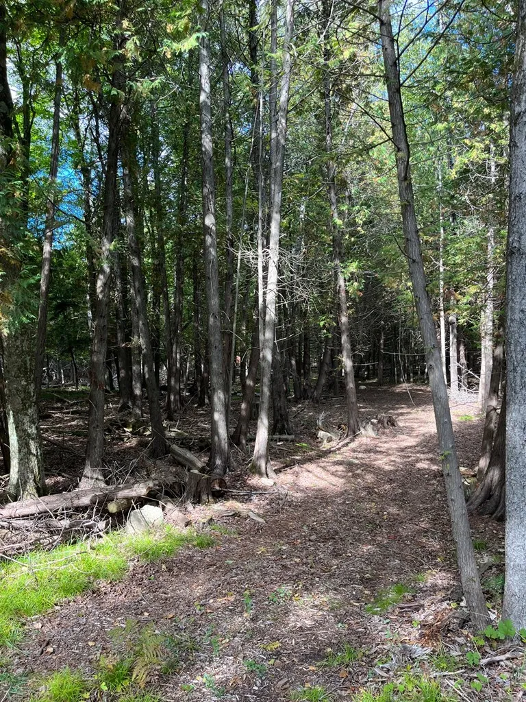 2902 Wilder Rd, Ephraim Wi 54211, ,Unimproved Land,For Sale,Wilder Rd,142952