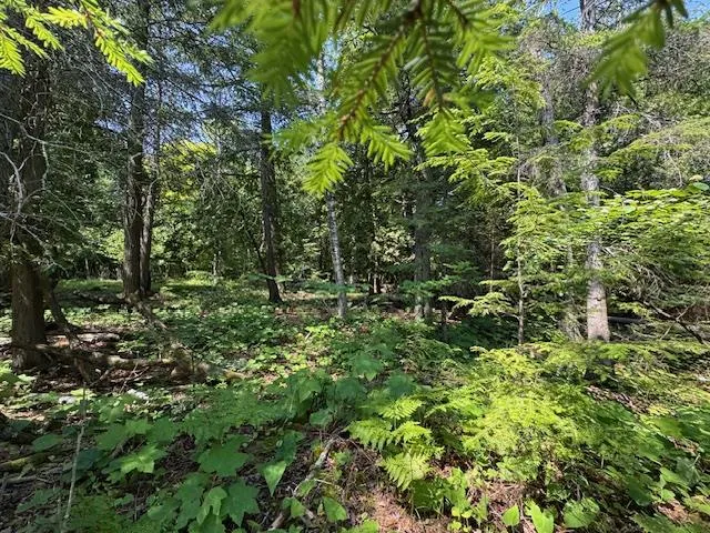 Tbd Europe Lake Ln, Ellison Bay, Wisconsin 54210, ,Unimproved Land,For Sale,Europe Lake Ln,144217