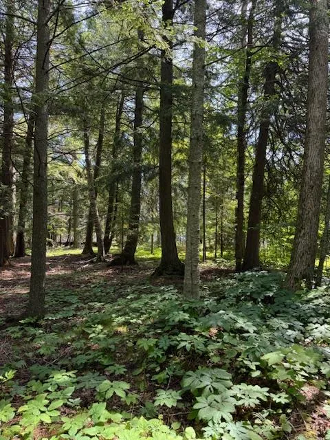 Tbd Europe Lake Ln, Ellison Bay, Wisconsin 54210, ,Unimproved Land,For Sale,Europe Lake Ln,144217