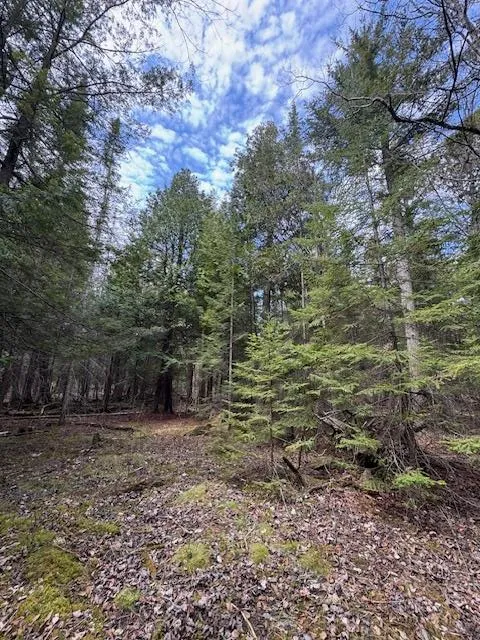 Tbd Europe Lake Ln, Ellison Bay, Wisconsin 54210, ,Unimproved Land,For Sale,Europe Lake Ln,144217