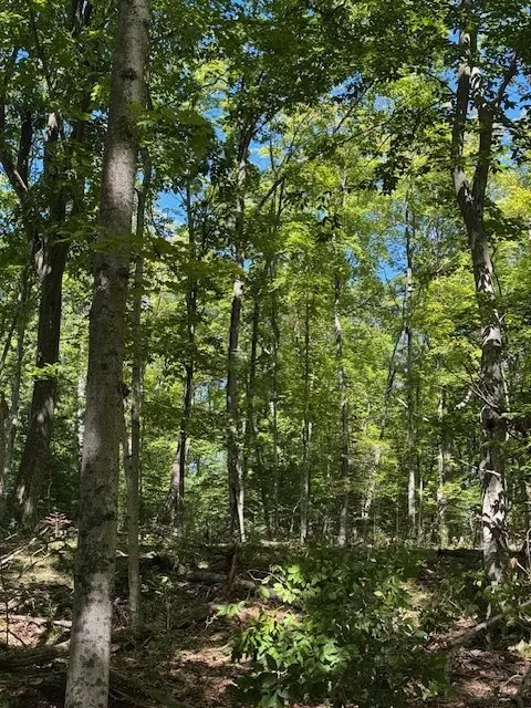 Tbd Fawn Ln, Gills Rock, Wisconsin 54210, ,Unimproved Land,For Sale,Fawn Ln,144477