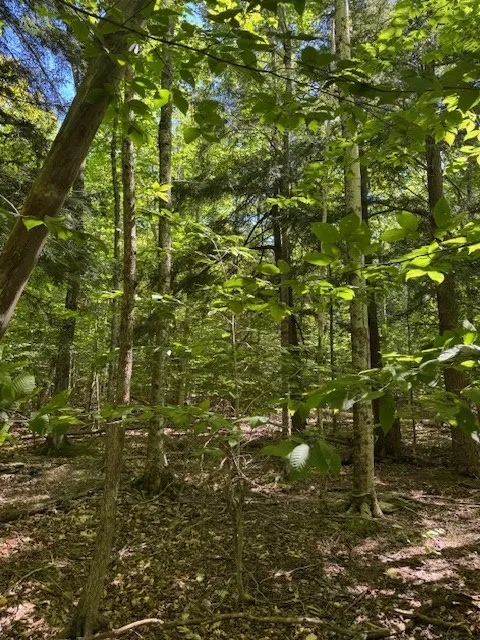 Tbd Fawn Ln, Gills Rock, Wisconsin 54210, ,Unimproved Land,For Sale,Fawn Ln,144477