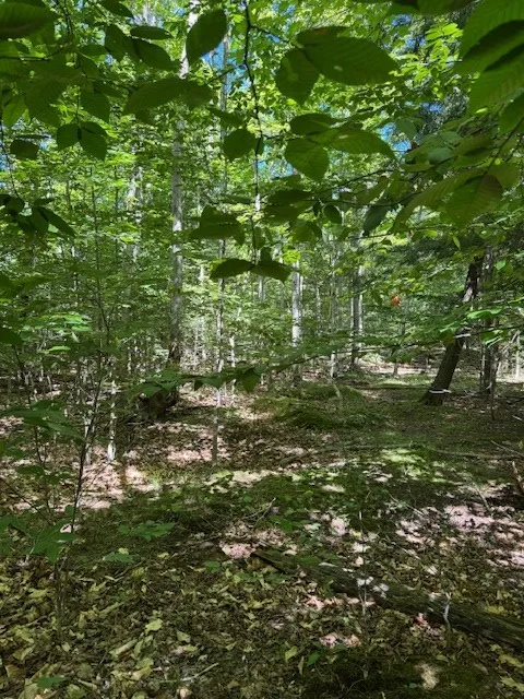 Tbd Fawn Ln, Gills Rock, Wisconsin 54210, ,Unimproved Land,For Sale,Fawn Ln,144477