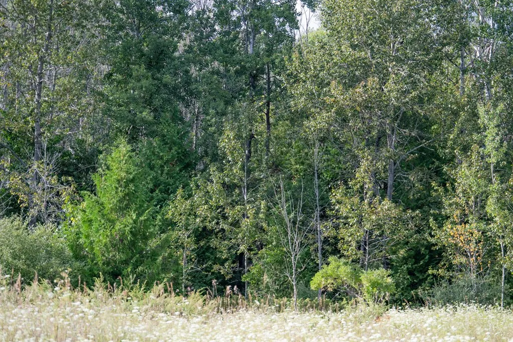 Tbd County Rd Zz, Sister Bay, Wisconsin 54234, ,Unimproved Land,For Sale,County Rd ZZ,144551