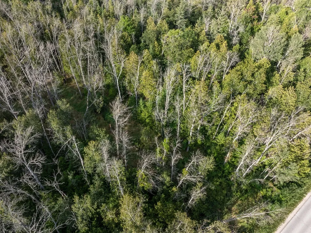 Tbd County Rd Zz, Sister Bay, Wisconsin 54234, ,Unimproved Land,For Sale,County Rd ZZ,144551