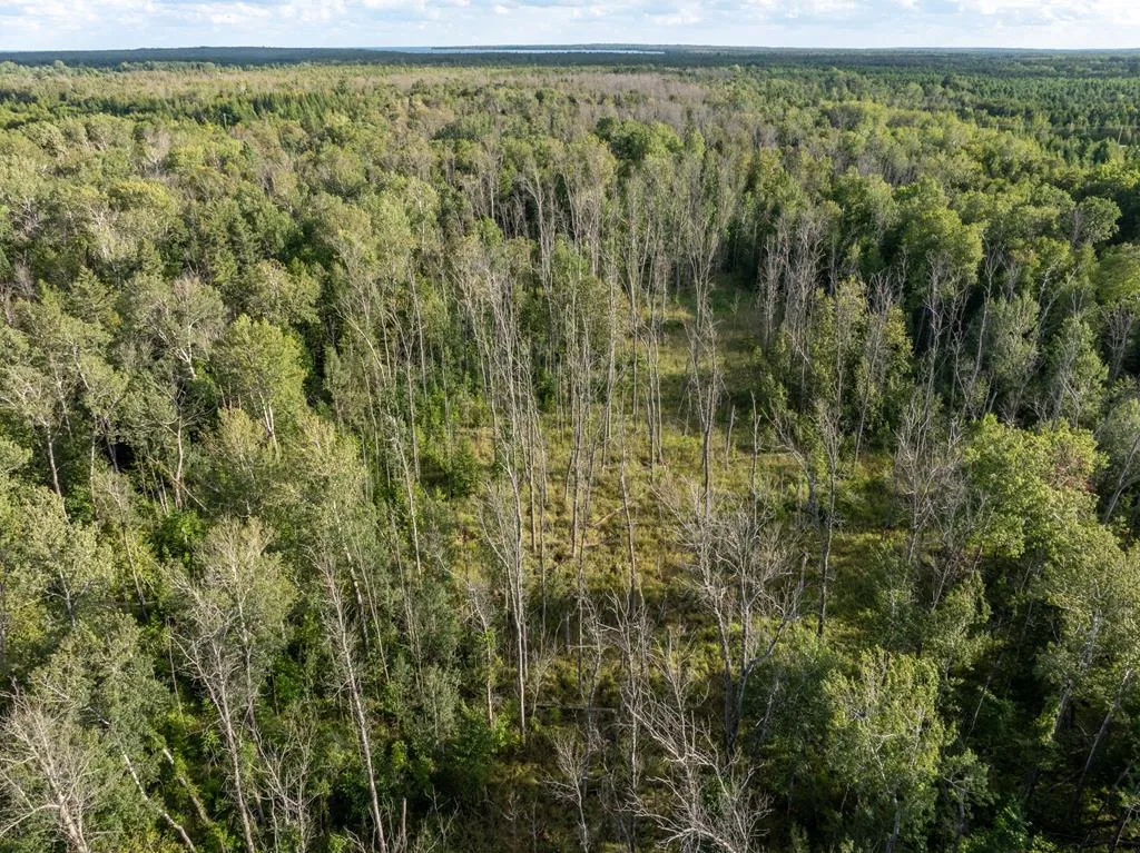 Tbd County Rd Zz, Sister Bay, Wisconsin 54234, ,Unimproved Land,For Sale,County Rd ZZ,144551