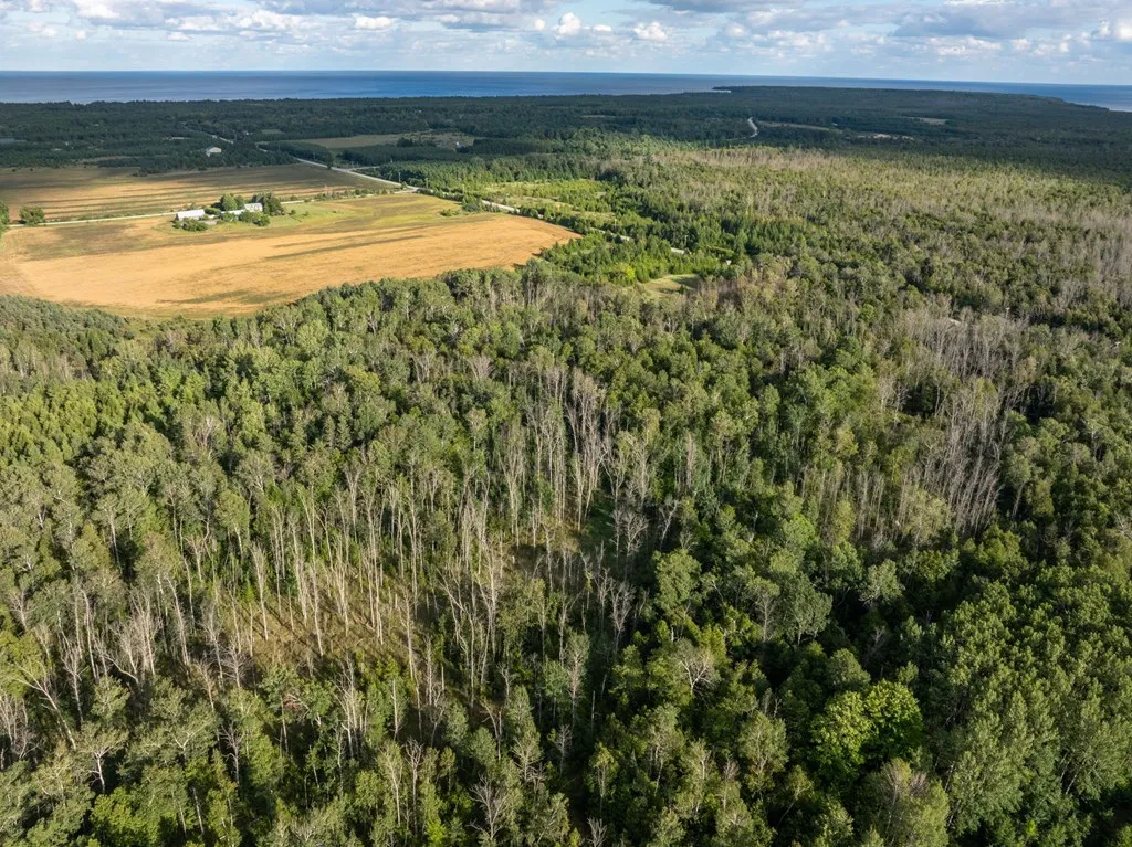 Tbd County Rd Zz, Sister Bay, Wisconsin 54234, ,Unimproved Land,For Sale,County Rd ZZ,144551