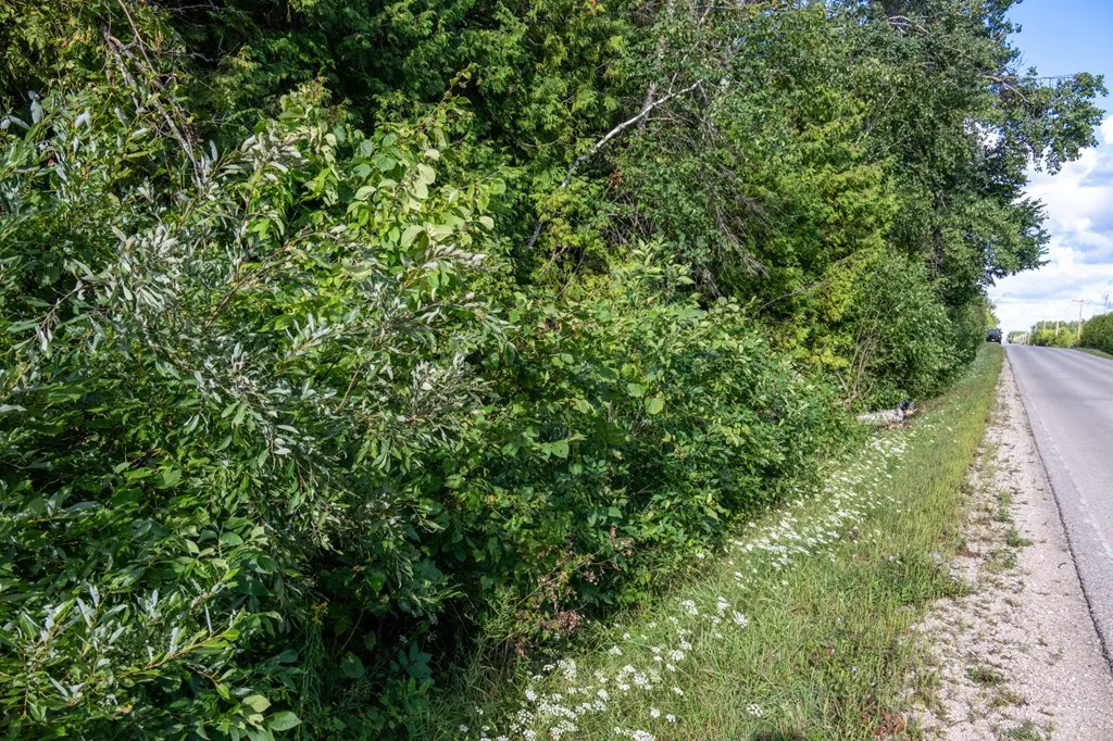Tbd County Rd Zz, Sister Bay, Wisconsin 54234, ,Unimproved Land,For Sale,County Rd ZZ,144551