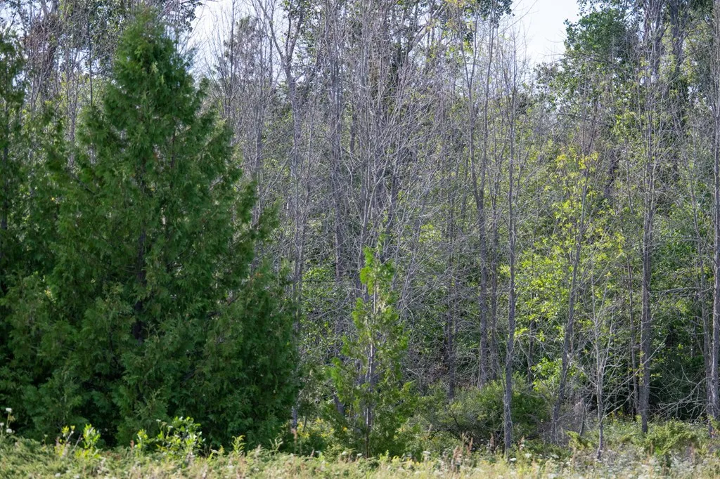 Tbd County Rd Zz, Sister Bay, Wisconsin 54234, ,Unimproved Land,For Sale,County Rd ZZ,144551