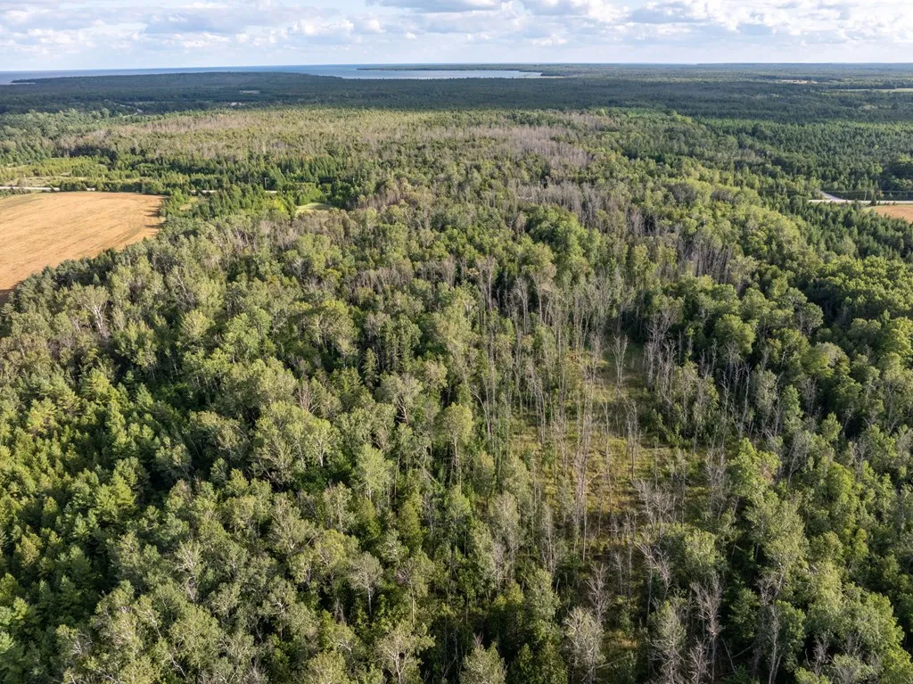 Tbd County Rd Zz, Sister Bay, Wisconsin 54234, ,Unimproved Land,For Sale,County Rd ZZ,144551