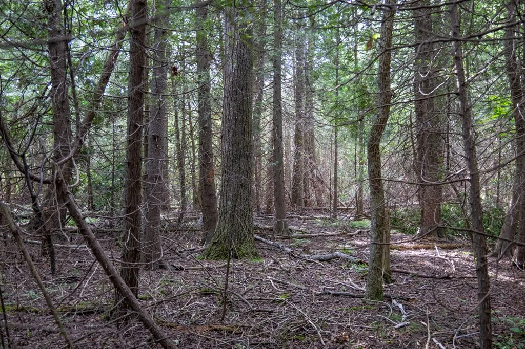 Tbd County Rd Zz, Sister Bay, Wisconsin 54234, ,Unimproved Land,For Sale,County Rd ZZ,144551