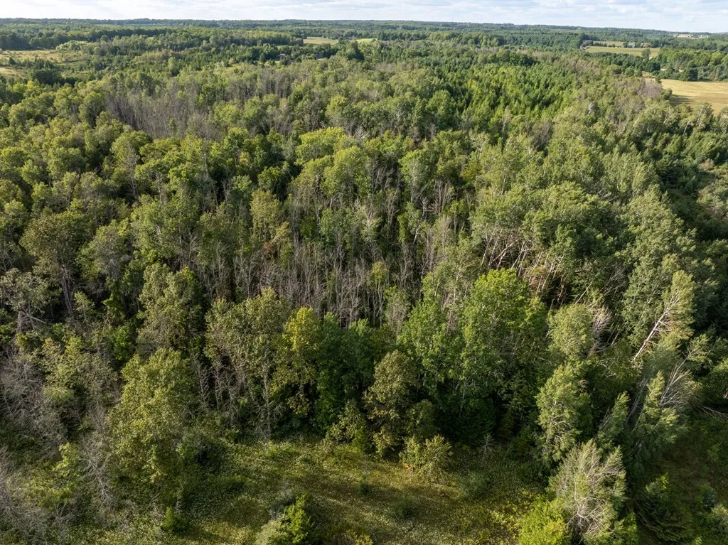 Tbd County Rd Zz, Sister Bay, Wisconsin 54234, ,Unimproved Land,For Sale,County Rd ZZ,144551