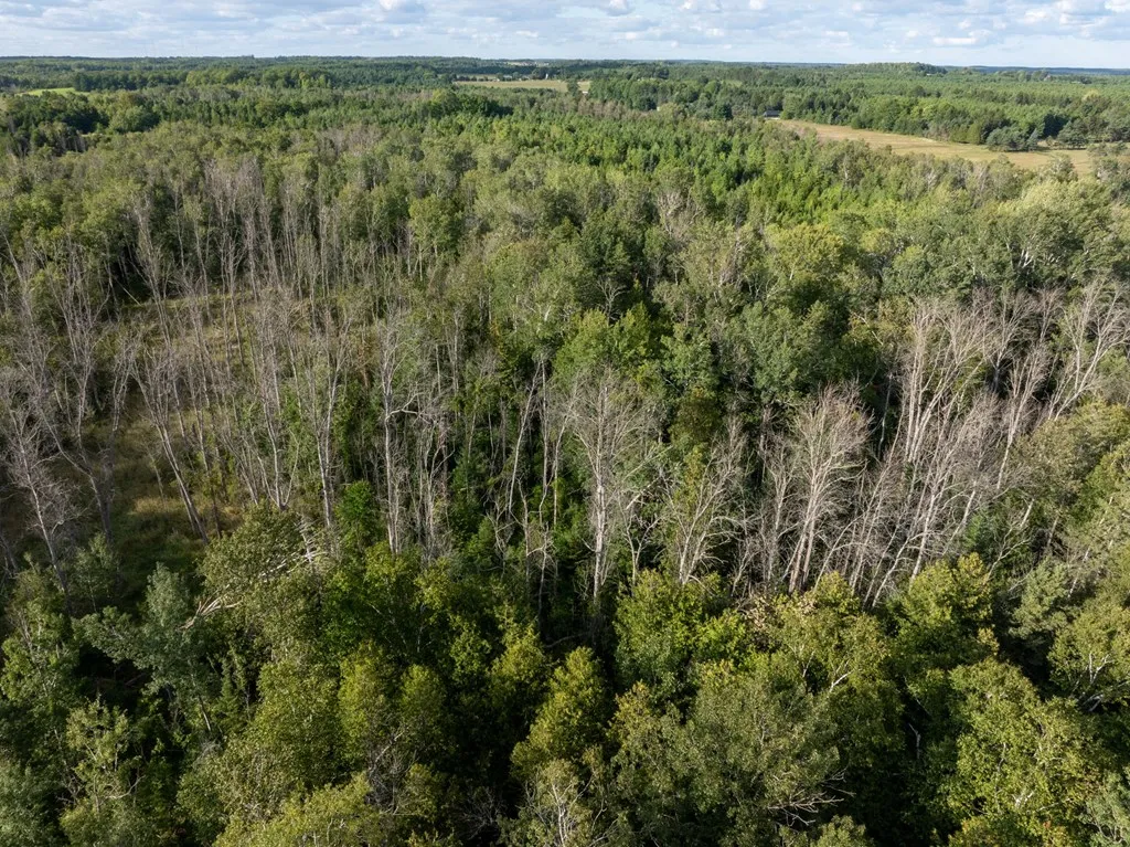 Tbd County Rd Zz, Sister Bay, Wisconsin 54234, ,Unimproved Land,For Sale,County Rd ZZ,144551