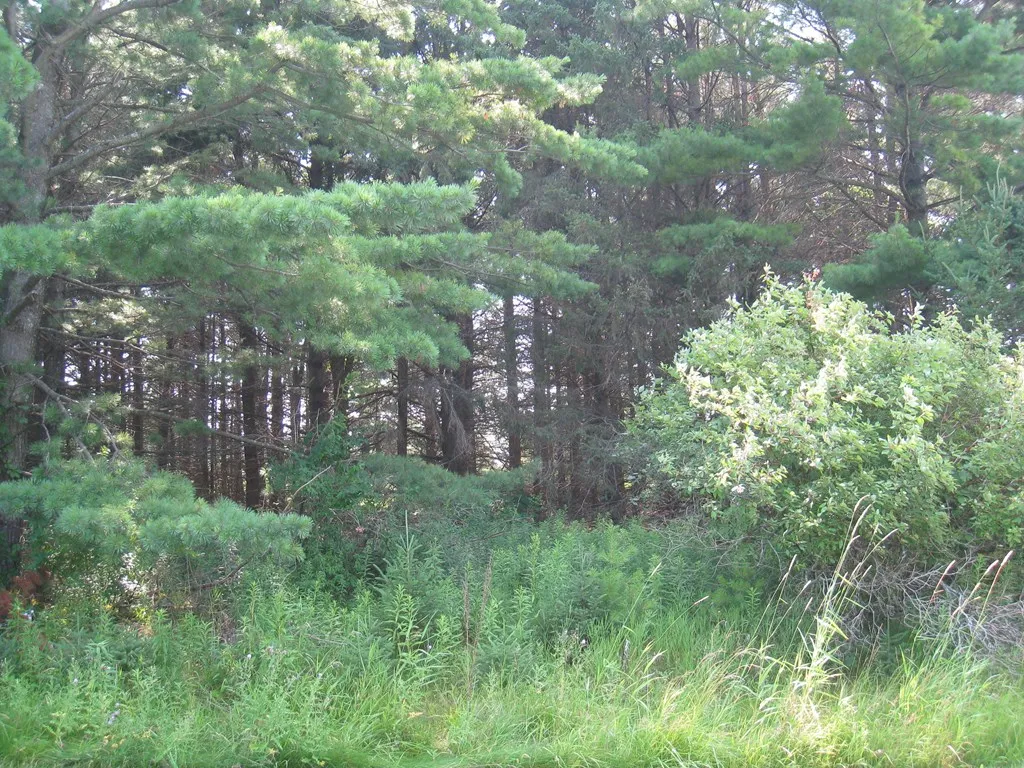 Lot 4 Hainesville Rd, Sturgeon Bay, Wisconsin 54235, ,Unimproved Land,For Sale,Hainesville Rd,144304