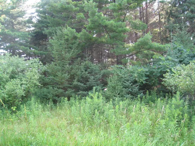 Lot 4 Hainesville Rd, Sturgeon Bay, Wisconsin 54235, ,Unimproved Land,For Sale,Hainesville Rd,144304