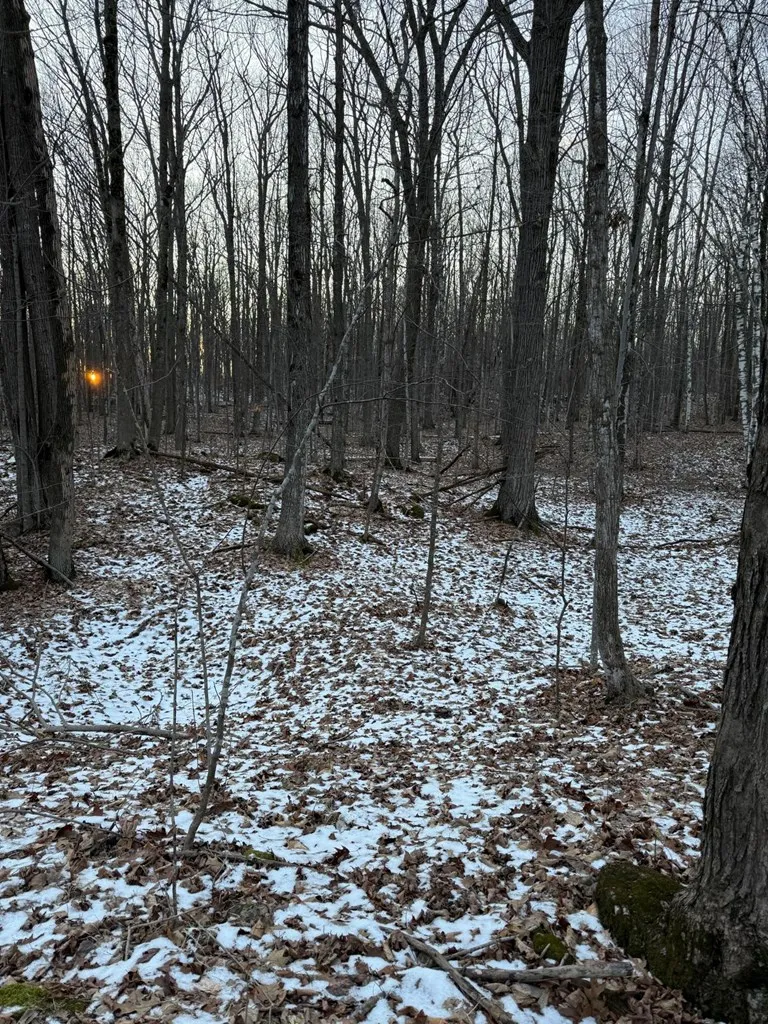 Orchard View Ln, Brussels Wi 54204, ,Unimproved Land,For Sale,Orchard View Ln,143546