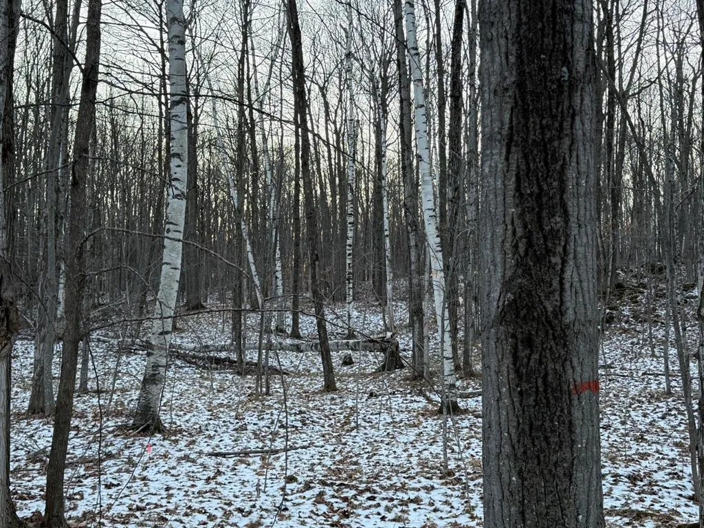Orchard View Ln, Brussels Wi 54204, ,Unimproved Land,For Sale,Orchard View Ln,143546