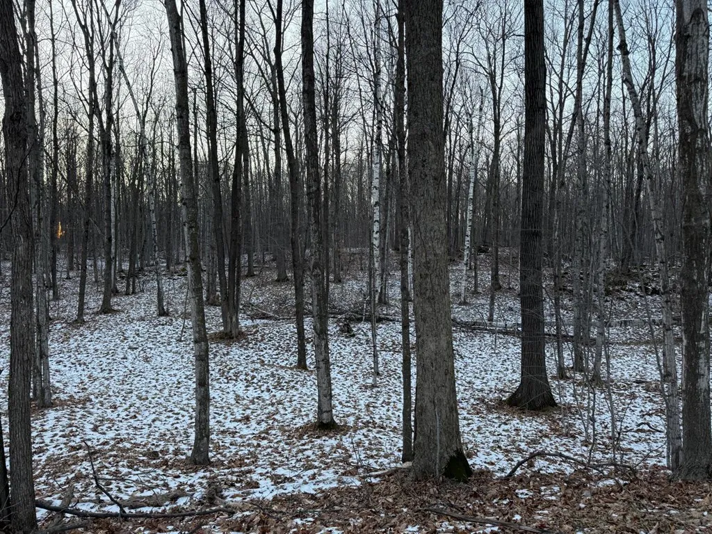 Orchard View Ln, Brussels Wi 54204, ,Unimproved Land,For Sale,Orchard View Ln,143546