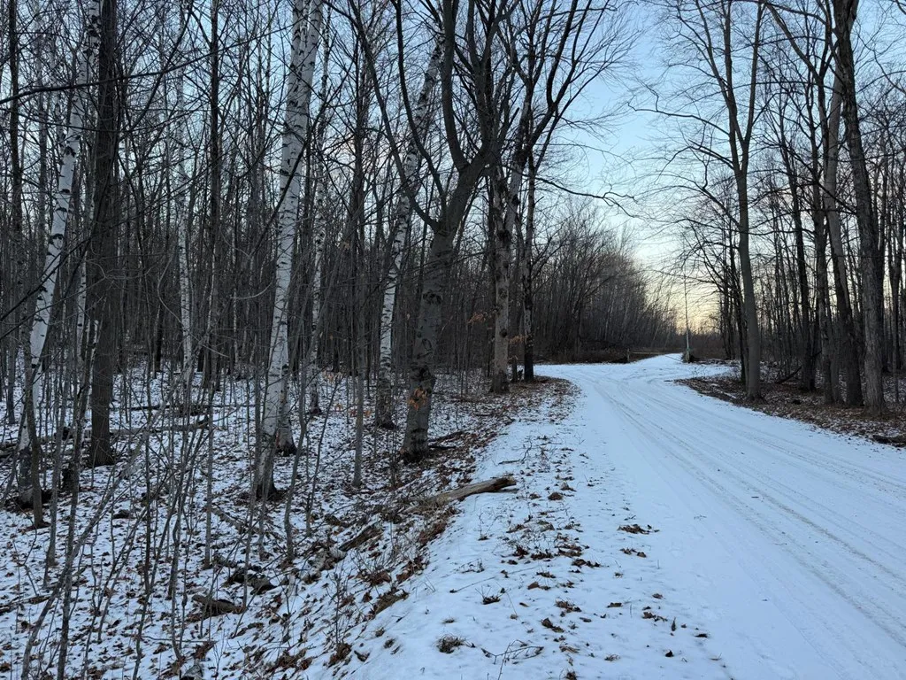 Orchard View Ln, Brussels Wi 54204, ,Unimproved Land,For Sale,Orchard View Ln,143546