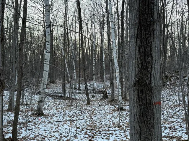 Orchard View Ln, Brussels Wi 54204, ,Unimproved Land,For Sale,Orchard View Ln,143546