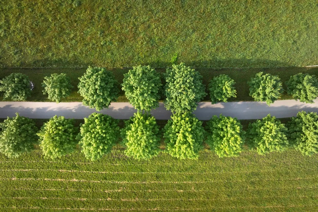 Tbd Kiehnau Rd, Egg Harbor, Wisconsin 54209, ,Unimproved Land,For Sale,Kiehnau Rd,144379