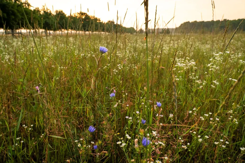 Tbd Kiehnau Rd, Egg Harbor, Wisconsin 54209, ,Unimproved Land,For Sale,Kiehnau Rd,144379