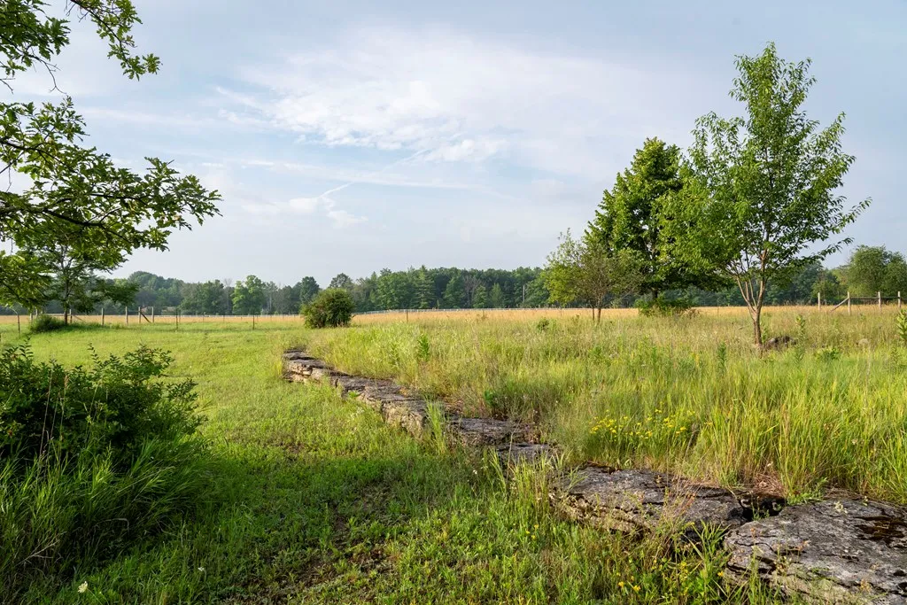 Tbd Kiehnau Rd, Egg Harbor, Wisconsin 54209, ,Unimproved Land,For Sale,Kiehnau Rd,144379