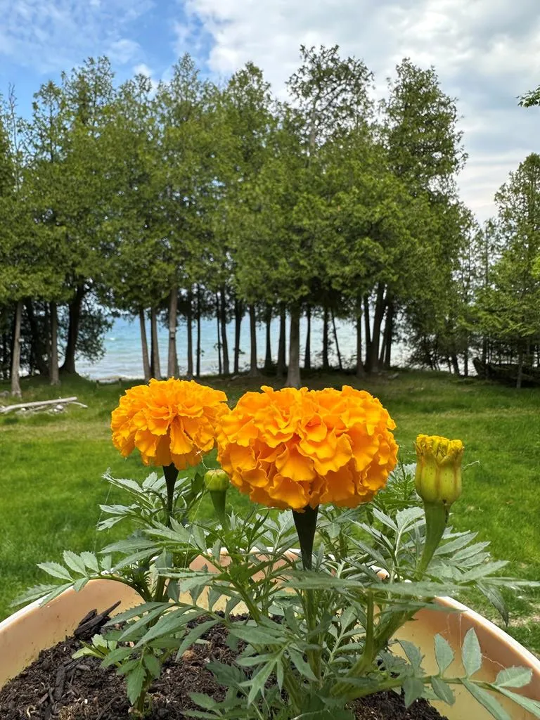 2084 S Lake Michigan Dr, Sturgeon Bay, Wisconsin 54235, 3 Bedrooms Bedrooms, ,2 BathroomsBathrooms,Waterfront-Residential,For Sale,S Lake Michigan Dr,144094