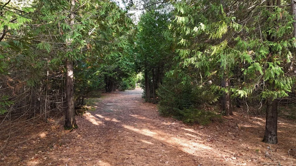 2534 Settlement Rd, Sister Bay Wi 54234, 3 Bedrooms Bedrooms, ,2 BathroomsBathrooms,Inland-Residential,For Sale,Settlement Rd,143402