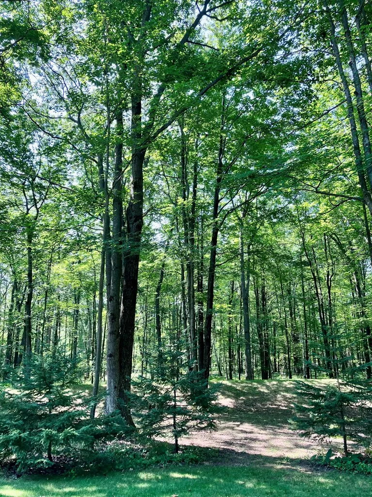 5340 E Pine Tree Rd, Sturgeon Bay Wi 54235, 3 Bedrooms Bedrooms, ,2 BathroomsBathrooms,Inland-Residential,For Sale,E Pine Tree Rd,141781