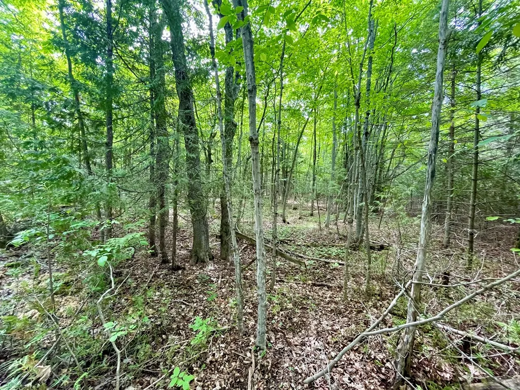 County Hwy Q, Baileys Harbor, Wisconsin 54202, ,Unimproved Land,For Sale,County Hwy Q,144092