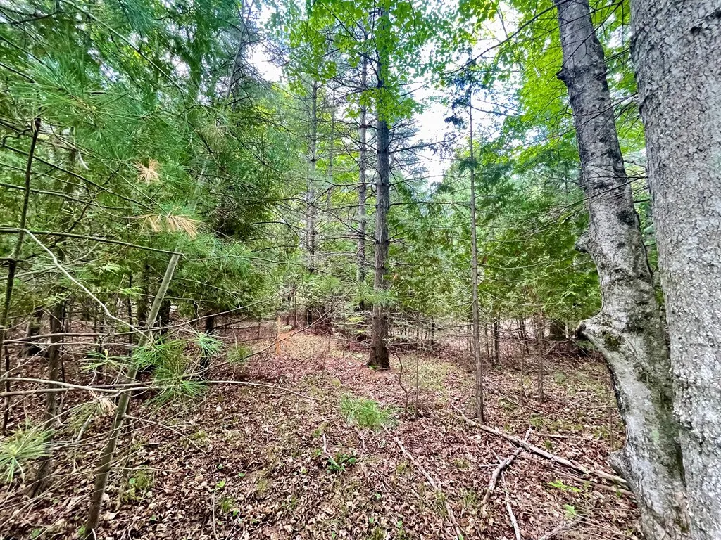 County Hwy Q, Baileys Harbor, Wisconsin 54202, ,Unimproved Land,For Sale,County Hwy Q,144092
