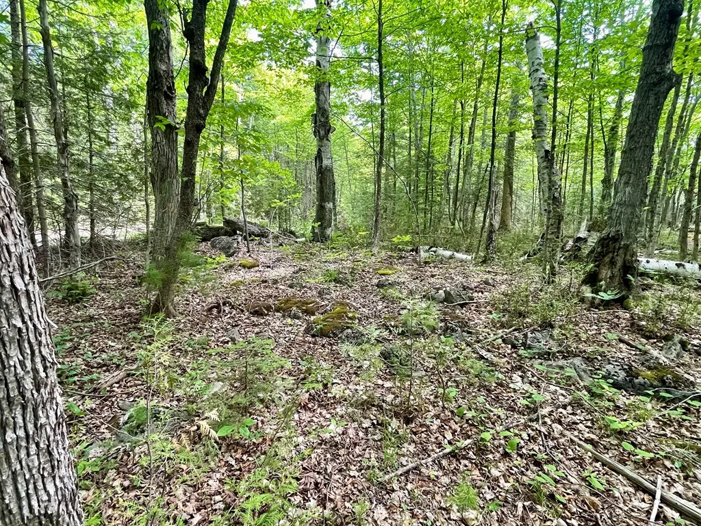County Hwy Q, Baileys Harbor, Wisconsin 54202, ,Unimproved Land,For Sale,County Hwy Q,144092
