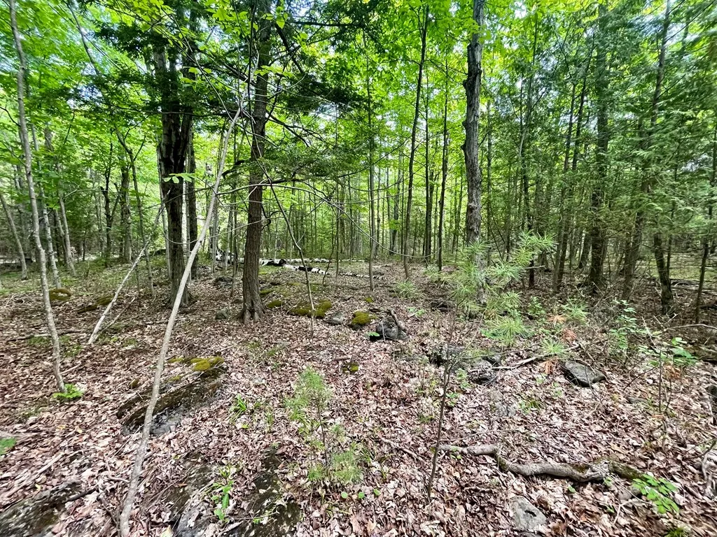 County Hwy Q, Baileys Harbor, Wisconsin 54202, ,Unimproved Land,For Sale,County Hwy Q,144092