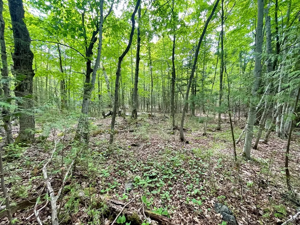 County Hwy Q, Baileys Harbor, Wisconsin 54202, ,Unimproved Land,For Sale,County Hwy Q,144092
