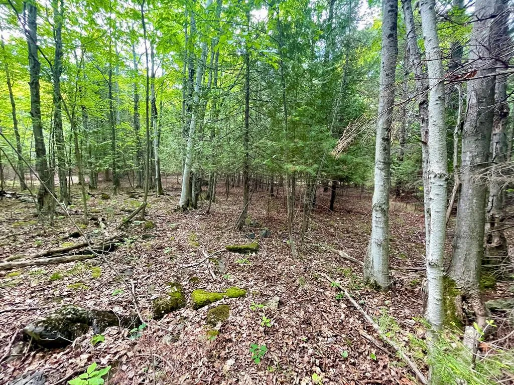 County Hwy Q, Baileys Harbor, Wisconsin 54202, ,Unimproved Land,For Sale,County Hwy Q,144092