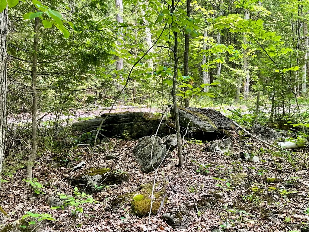 County Hwy Q, Baileys Harbor, Wisconsin 54202, ,Unimproved Land,For Sale,County Hwy Q,144092