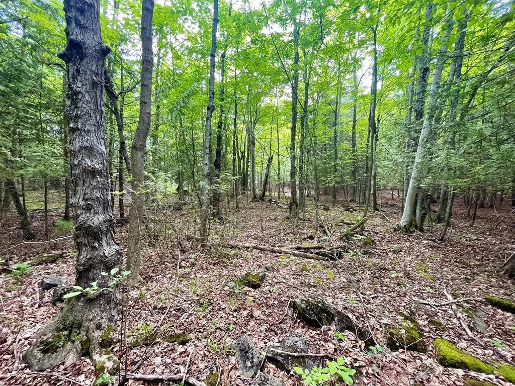 County Hwy Q, Baileys Harbor, Wisconsin 54202, ,Unimproved Land,For Sale,County Hwy Q,144092