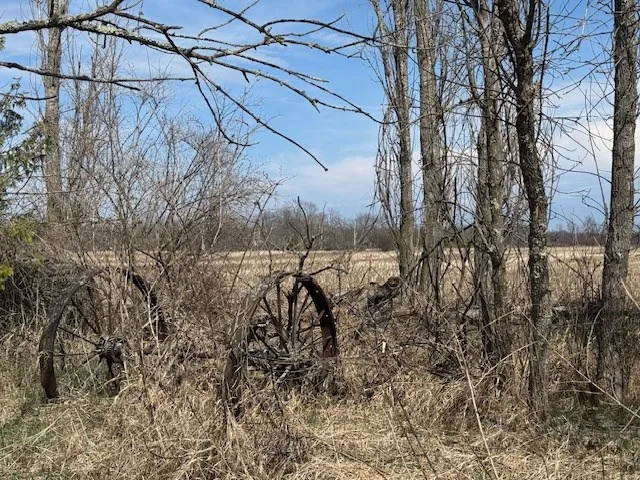11188 Hwy 42, Sister Bay Wi 54234, ,Unimproved Land,For Sale,Hwy 42,143849