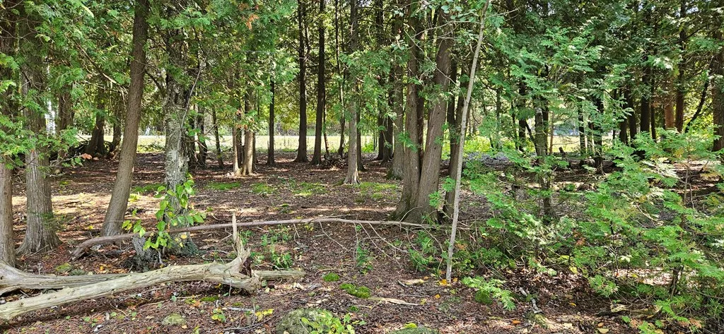 Bay Shore Dr, Sturgeon Bay, Wisconsin 54235, ,Unimproved Land,For Sale,Bay Shore Dr,144538